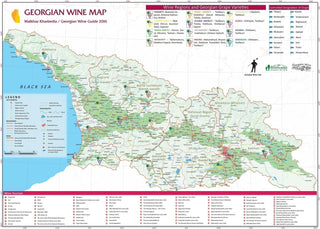 VINO GEORGIANO